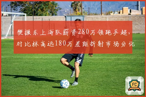 樊振东上海队薪资280万领跑乒超，对比林高远180万差距折射市场分化